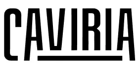 Capture d'écran du projet