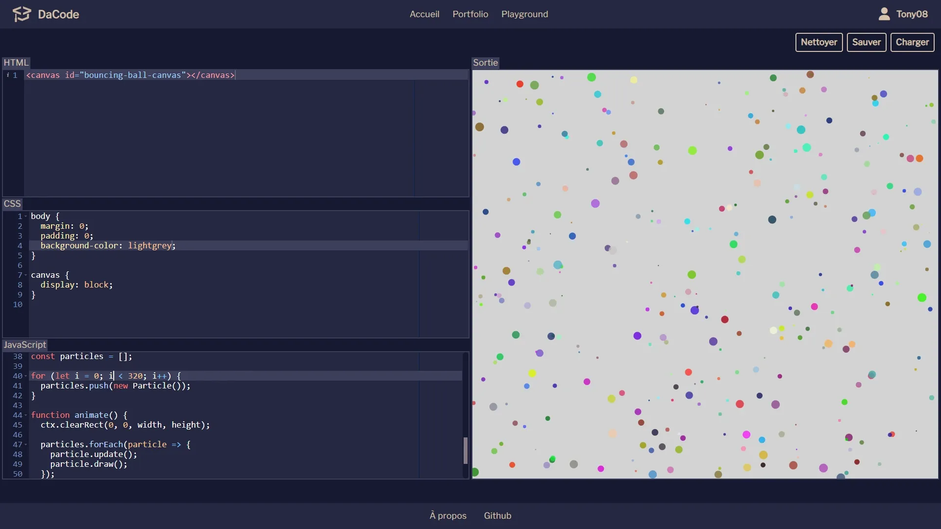 Capture d'écran du projet